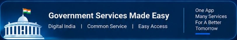 Government Services Made Easy